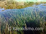 kayak-mar-menor
